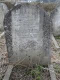 image of grave number 295715